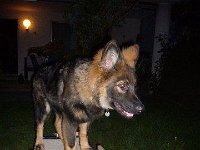 Ki-Shani